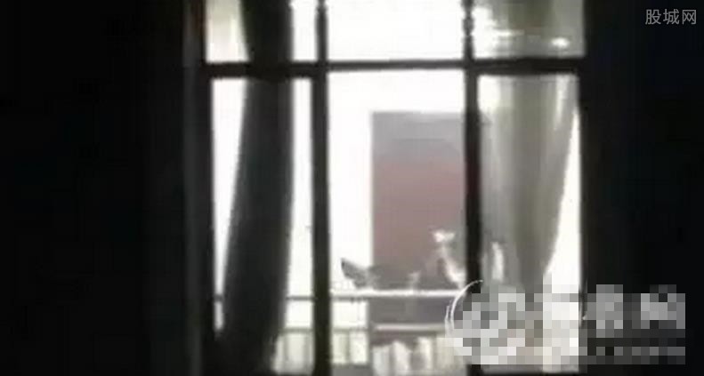 偷拍情人口爆(2)