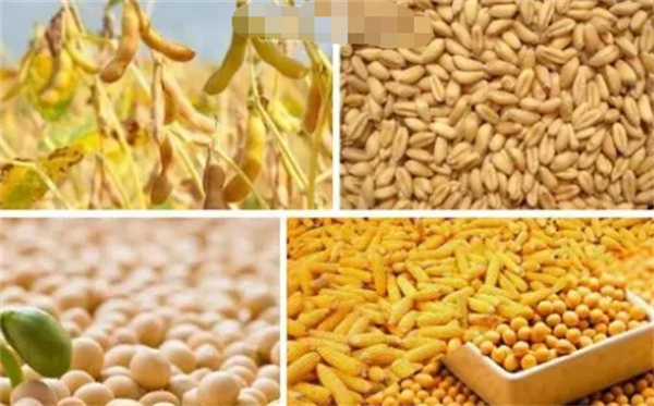 大豆、玉米玉米、小麦下跌小麦价钱下跌后续粮价若何无望绝对不变期吗