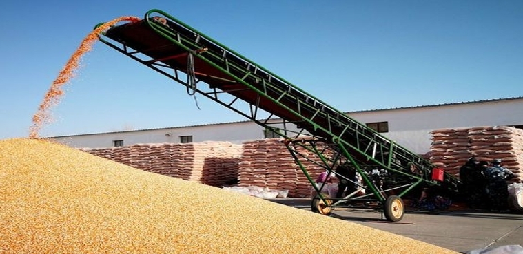 粮价画风渐变1月7日玉米哗哗落小麦山穷水尽 市场若何