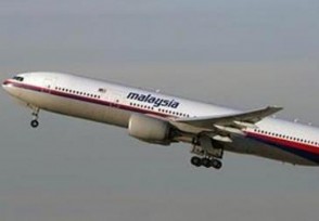 MH370 Ŀѧϣһҵк