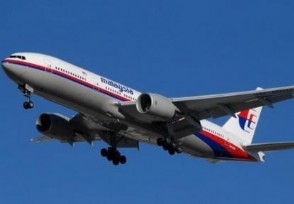 MH370 Ŀѧϣһҵɻ