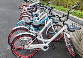 哈罗单车免押金 哈罗单车带动共享单车行业改革