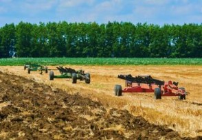 农业农村部：推进依法治农 保障农业生产安全