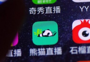 熊猫直播回应缺钱 王思聪没有撤资C轮融资将公布
