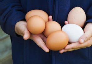 2018鸡蛋最新价格 今日鸡蛋价格行情是涨是跌？