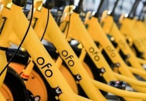 ofo˲Ѻ ofo˾ôѺ