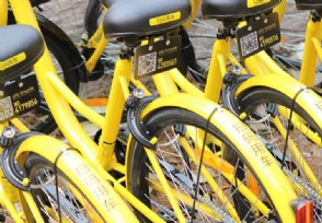 ofo׷2.5 ߹ѳδģ