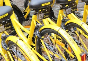 ofo׷2.5 ޿ִвƲûѺô