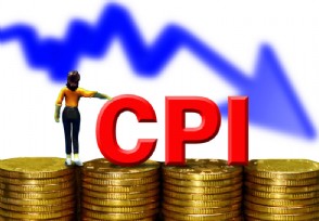 11CPIͬ½0.5% ½0.6%