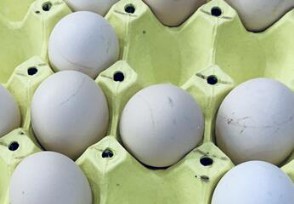 日本鸡蛋价格飙升8成 受到↓什么因素影响？