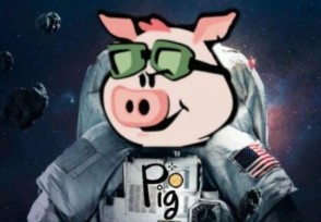 PIG猪币最新价格下跌 该币都在哪个交易�所购买？