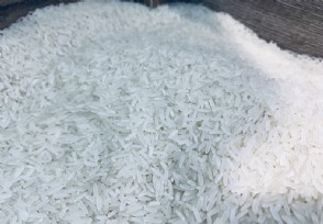 中国60%大米进口吗 大米进口比例是多少