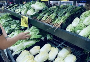 不少地区绿叶菜价格开始明显回落 多少钱一斤？