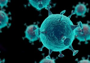 世界首例感染新冠超1年男子去世 免疫系统较弱病毒一直呈阳性