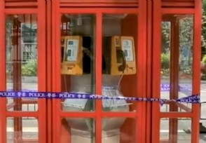 在上海电话亭住了一个月的女人是谁 看完令人心酸