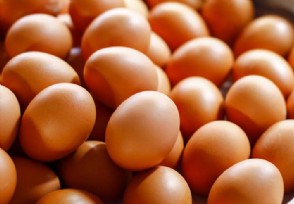 每天早上吃一个鸡蛋，对身体好不好？研究人员直说了实话
