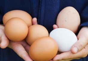 每天早上吃一个鸡蛋对身体好不好？ 研究人员直说了有好处