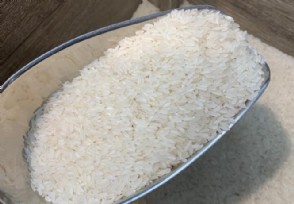 光吃菜不吃米饭30天后身体发生了什么变化？ 给出答案