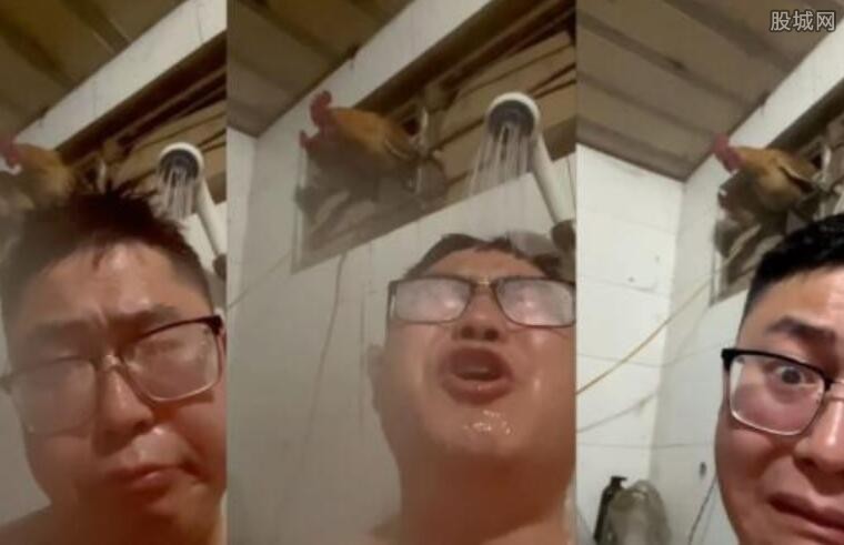 男子半夜洗澡遭鸡偷窥随后互动一幕让网友乐了 叫你出去打球？