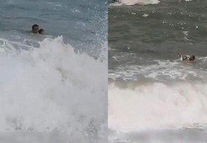 4岁女童被巨浪卷走男子跳海施救 现场画面曝光十分惊险