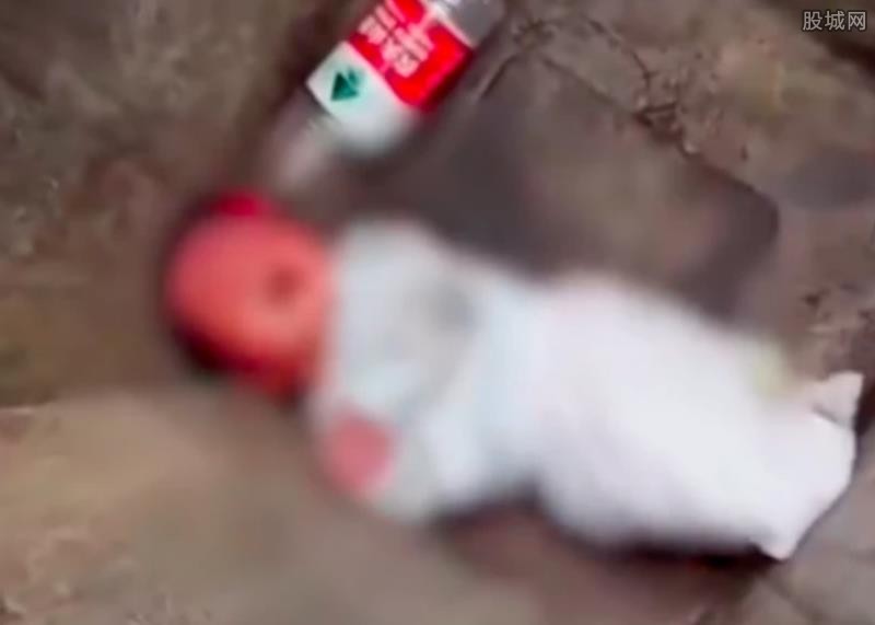 婴儿被弃垃圾桶