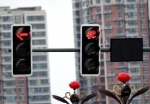 中国哪个专家建议新国标红绿灯 揭孙正良个人简介资料