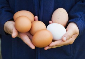 长期吃鸡蛋的人或要注意5点“禁忌”为了家人健康建议了解