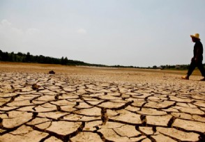 江西超95%县市区出现特重气象干旱 情况非常严重