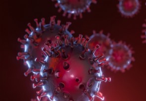 新冠病毒或直接对心脏DNA产生影响 这说明什么？