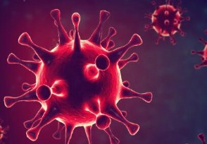 研究：新冠病毒可能在脑内引发炎症 感染者容易出现帕金森病