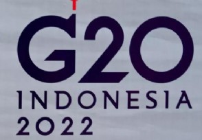 Ԫ׻G20Ҫ ڻѰҸմ