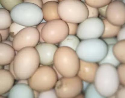 一个鸡蛋降至4毛内 端午节前夕价格曾短暂回暖