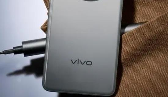 VivoֱĿɱԲ ŶѾ޸